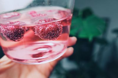 Close-up of hand holding drink