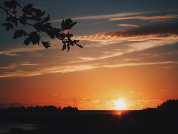 Silhouette trees against sky during sunset