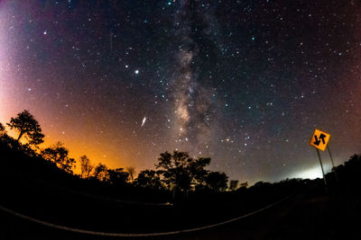 Silhouette trees against sky at night