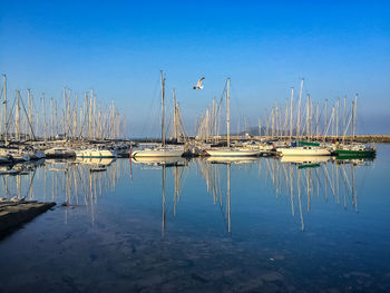 Sailboats moored in sea