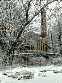 Bare trees on snow covered landscape