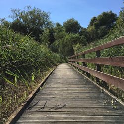 Footbridge amidst trees against sky