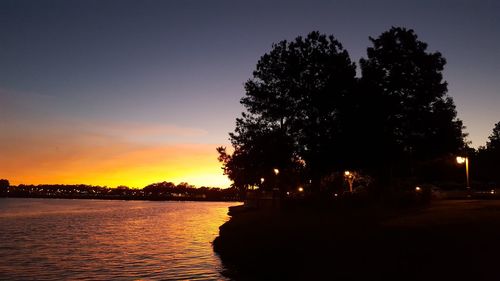 Silhouette trees against sky at night