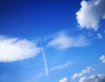 Low angle view of vapor trail in sky