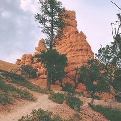 Low angle view of rock formations and trees at red rock canyon national conservation area