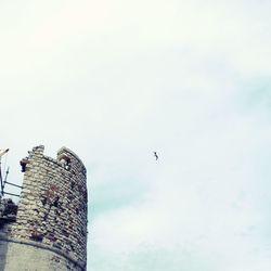 Low angle view of birds perching on wall