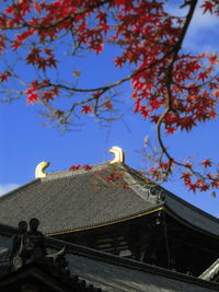 Low angle view of bird perching on roof