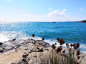 Scenic view of sea against sky