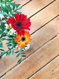 High angle view of orange flowering plant on wood