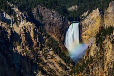 Scenic view of waterfall in forest