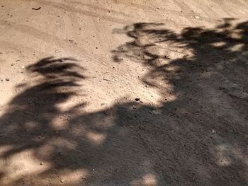 High angle view of shadow on wall