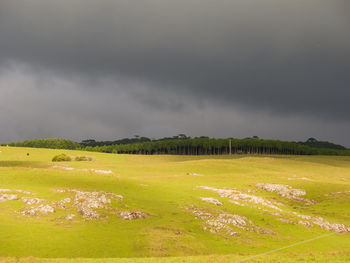 Scenic view of field against sky