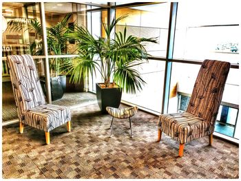 Empty chairs in backyard