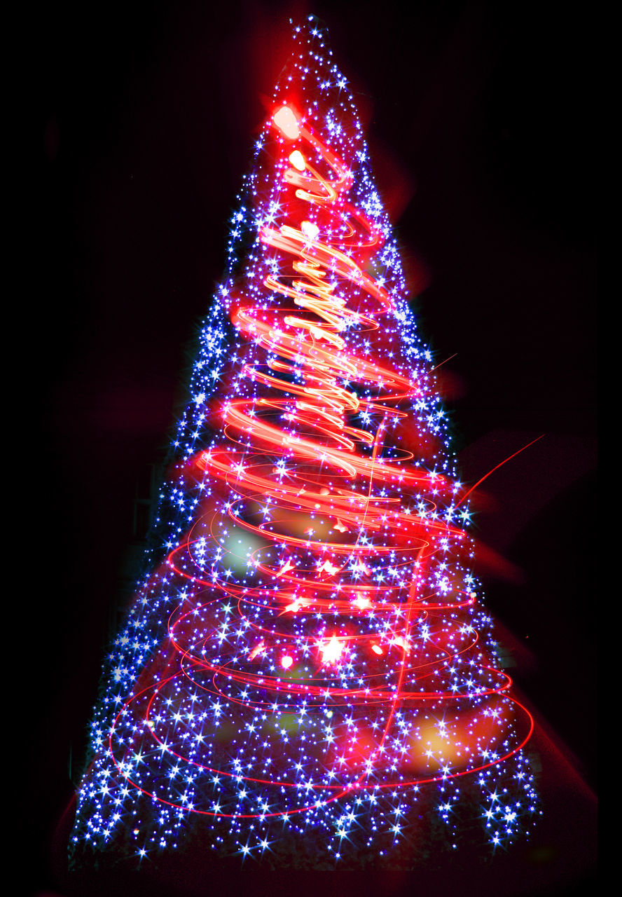 LOW ANGLE VIEW OF ILLUMINATED CHRISTMAS TREE