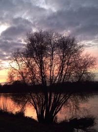 Silhouette of bare trees by lake against cloudy sky