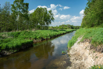 River flowing through meadow and forest, white clouds on blue sky