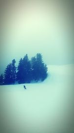 Snow covered landscape