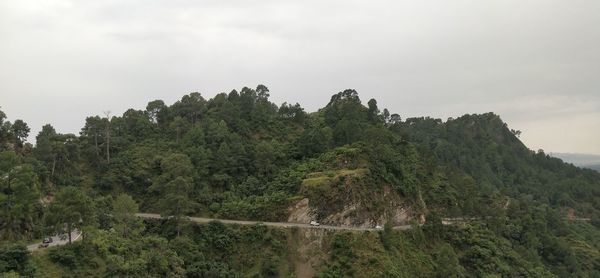 Scenic view of forest against sky