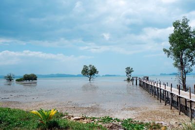 Scenic view of sea against sky