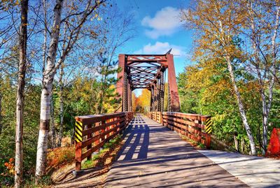 Empty bridge amidst trees against sky