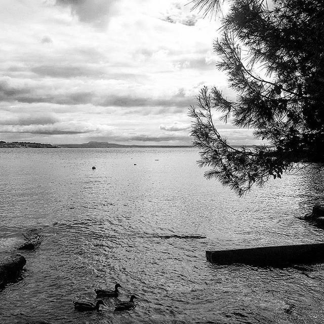 VIEW OF SEA AGAINST CLOUDY SKY