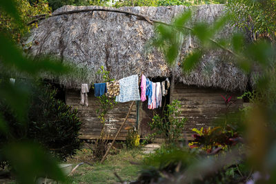 Clothes on the clothesline in a garden
