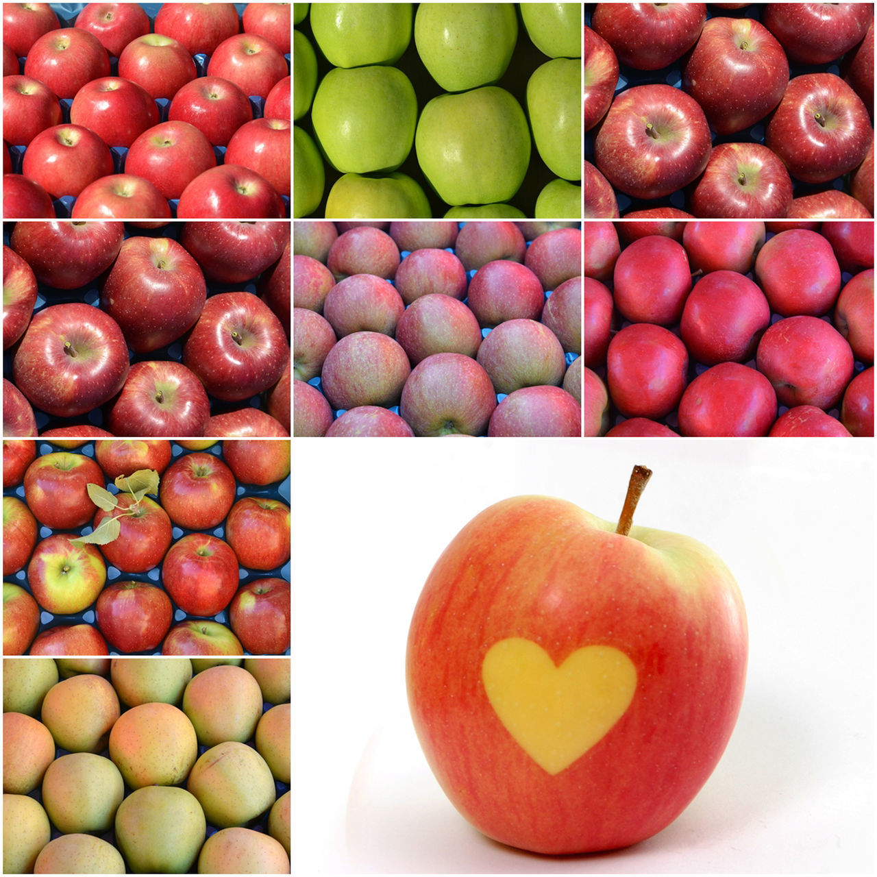 CLOSE-UP OF APPLES ON TOMATOES