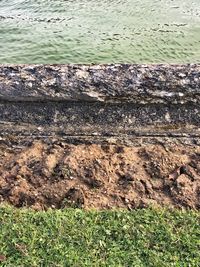 Close-up of water on field