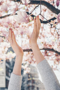 Close-up of hand holding cherry blossom