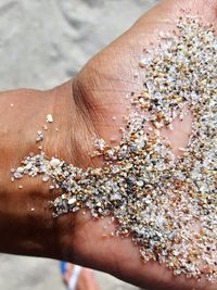 Close-up of hand holding sand