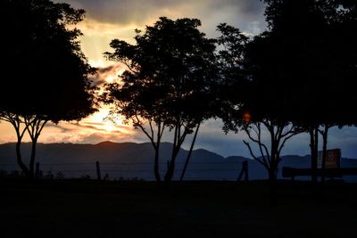 Silhouette trees on beach against sky at sunset