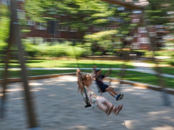 Blurred motion of birds running