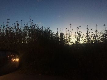 Silhouette trees against sky during sunset