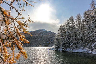 Scenic view of lake against sky during winter