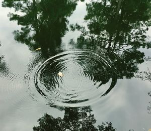 Reflection of trees in lake