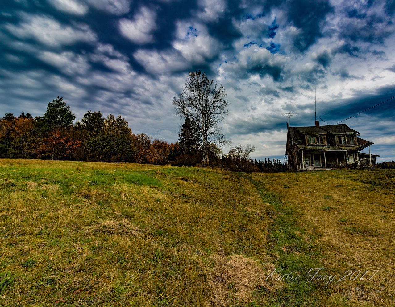 HOUSE ON GRASSY FIELD AGAINST SKY