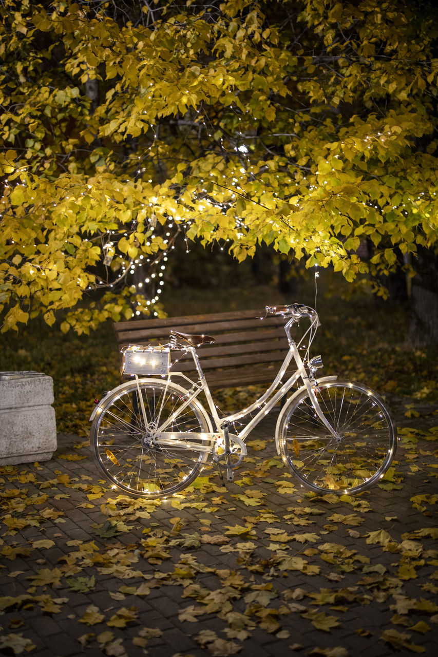 BICYCLE PARKED BY TREE IN AUTUMN