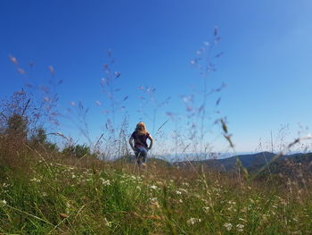 Rear view of woman on field against clear blue sky