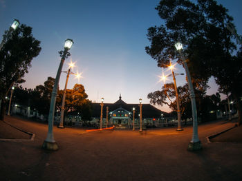 Illuminated street lights by trees against sky at night