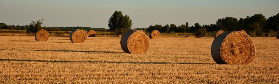 Bales of straw