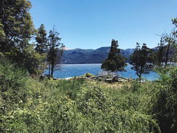 Scenic view of sea against clear sky