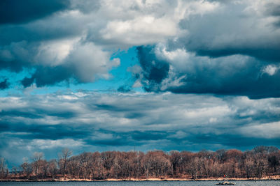 Scenic view of trees on field against sky