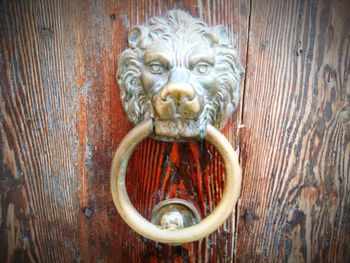 Close-up portrait of door knocker