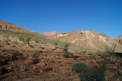 Scenic view of desert against clear blue sky