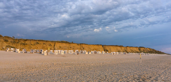 Panoramic view of sheep on sand
