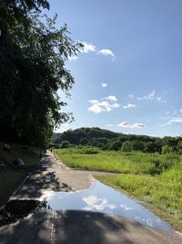 Road by trees against sky