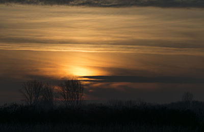 Silhouette trees on landscape against sunset sky