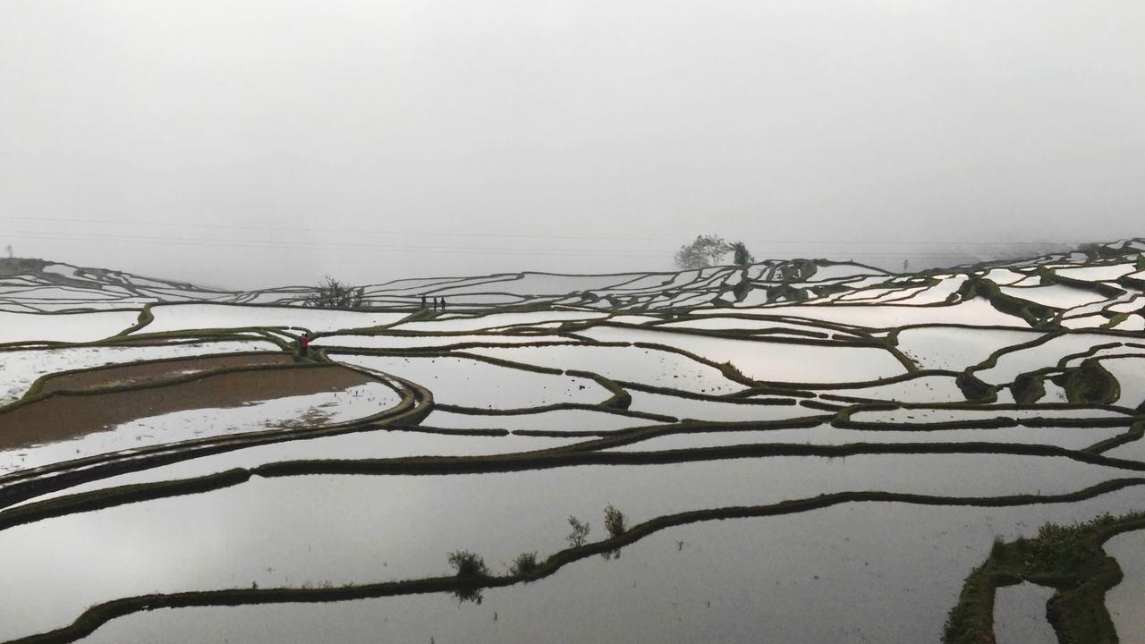 nature, outdoors, day, tranquility, fog, field, no people, beauty in nature, winter, cold temperature, sky, water