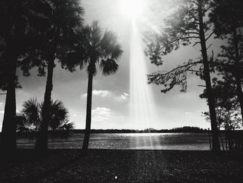 Scenic view of trees against sky