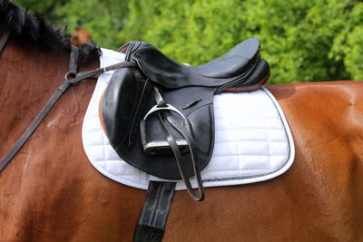 Close-up of person holding leather outdoors